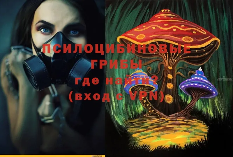 Галлюциногенные грибы Magic Shrooms  Почеп 